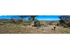 Enhance Your Planning Accuracy with a Detailed Site Survey in Melbourne