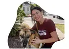 Reliable West Hollywood Dog Sitters | West Coast Paws