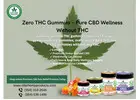 Zero THC Gummies – Premium THC-Free CBD Gummies