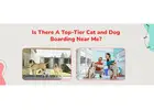 Emergency Veterinary Hospital in Gurgaon  | CGS Hospital