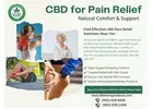 Premium CBD Pain Relief Cream for Everyday Comfort