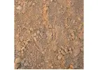 Count On the Best Quarry Rubble Supplies in Adelaide South