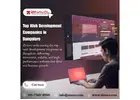 Custom Website Development Services in Bangalore | Zinavo