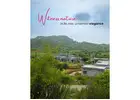 Best Resort in Jawai | Rosastays