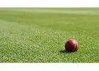 Cricket Turf Manufacturer for Sports Facilities | Call Now