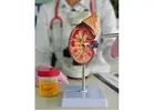 Best Ayurvedic Hospital for Kidney Treatment in India Advanced Care Centre