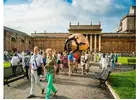 Book your tailored Vatican guided tour to unearth the stunning marvels of Rome