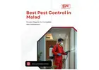 Choose the Best Pest Control in Malad for Complete Protection