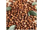 Among the coffee lovers, organic light roast coffee is growing in popularity as it retains natural f