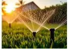 Custom Irrigation System Plans for Florida Landscapes and Lawns