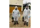 Offering the best service as the top exterminators Swindon