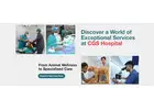 Emergency Veterinary Hospital in Gurgaon  | CGS Hospital