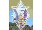 Landscape design
