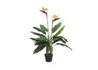 Premium Artificial Plants Melbourne for Every Space