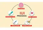 IUI Treatment in Delhi - Dr Rhythm Gupta