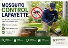 Mosquito Control Lafayette: Stop Breeding Sites Fast