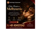 Palm Reader in Melbourne