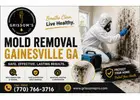 Mold Removal