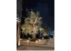 landscape lighting Miami Dade