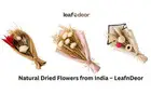 Buy Quality Dried Flowers from India by LeafnDeor