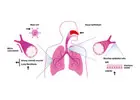 Trusted Research Support for Respiratory Drug Development