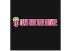 Team Gale Tree Service