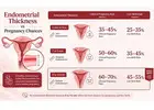 Thin Uterine Lining and Fertility: Can You Conceive?