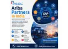 Ariba Partners in India