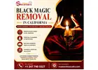 Trusted Black Magic Removal in California - Master Shivarudra