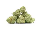 Double OG Popcorn Strain: Aroma, Flavor, and What to Expect