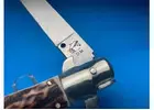 Showcasing the Exquisite Dolphin Stag Mariano Switchblade