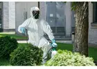 Professional Pest Control for Bedbugs in Jaipur Near You