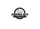Alpha K-9 Dog Training