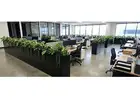 Add Depth From Above With an Artificial Hanging Garden