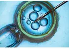 IVF Treatment Cost in Delhi - Dr Rhythm Gupta