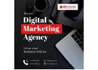 Digital Marketing Agency in Bangalore | Zinavo