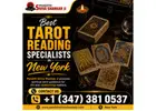 Best Tarot Reading Specialists in New York