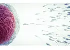 IUI Treatment Cost in Delhi - Dr Rhythm Gupta