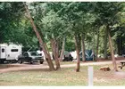 Plan Your Next Escape to Michigan State Parks