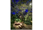 Outdoor Lighting in Miami
