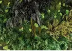 Mijardinvertical.es