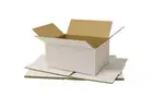 Reliable Cardboard Packaging Boxes for Secure Packing | Globe Packaging