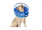 Soft Inflatable Dog Cone Collar for Gentle Protection
