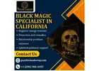 Trusted Black Magic Specialist in California - Psychic Raj Guru