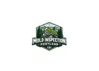 Mold Inspection Portland