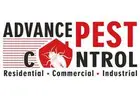 Pest control Vancouver