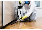 Best Pest Control Swindon Prices for Reliable Pest Solutions
