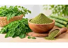 Moringa Leaf Powder: A Practical Guide for Bulk Buyers