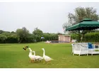 Explore a Naugaon Farmhouse Near Gurgaon