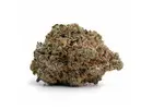Buy Death Bubba Weed Strain Canada